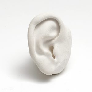 Anatomical Sculpture Reference Model, Ear